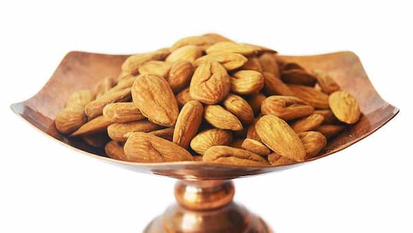 تصویر 3 از خرید بادام مامایی عمده + قیمت فروش استثنایی